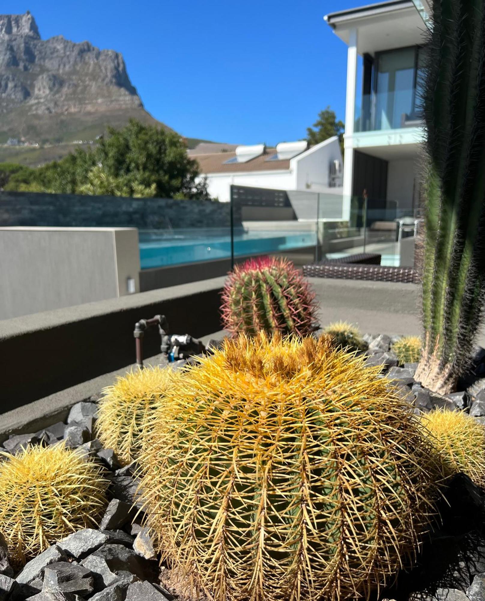 Bayview Boutique Guesthouse Cape Town Exterior photo